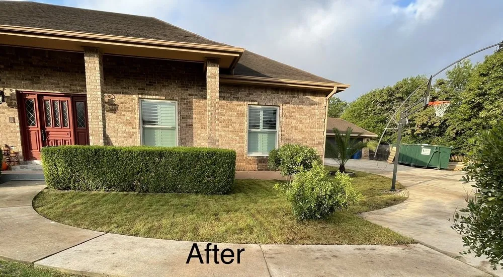 Reliable yard cleanup service experts serving Spring Branch, TX - Wallace Construction