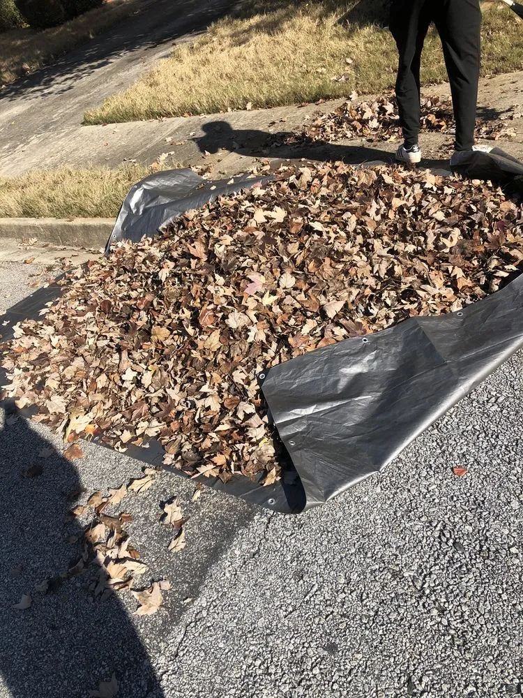 Top-rated landscape design experts serving Lawrenceville, GA - Wallace Lawn Care