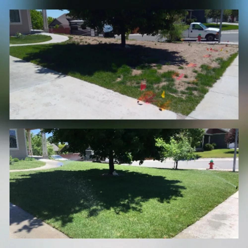 Reliable yard maintenance in Cheyenne, WY by Wallace Sprinkler