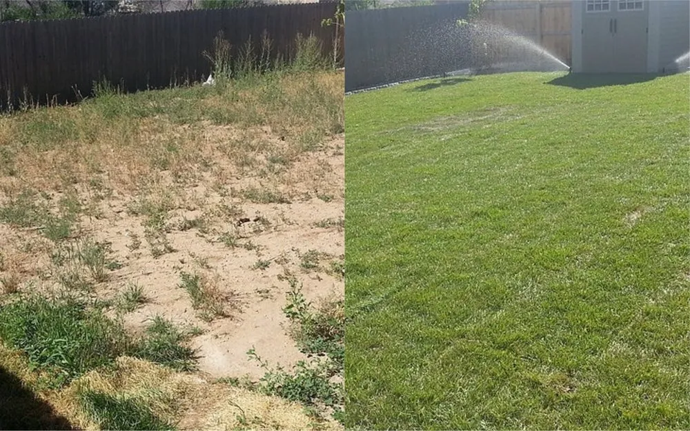 Custom lawn care service in Cheyenne, WY by Wallace Sprinkler