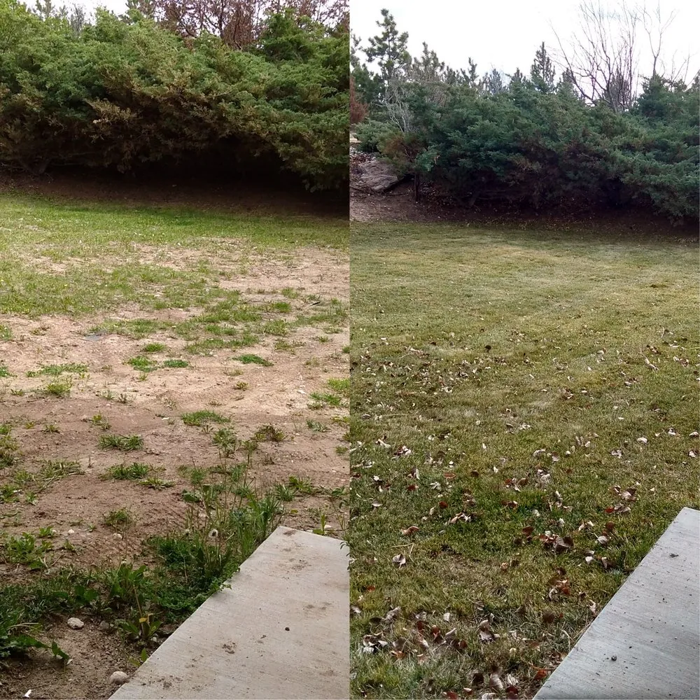 Professional outdoor landscaping for beautiful yards across Cheyenne, WY - Wallace Sprinkler