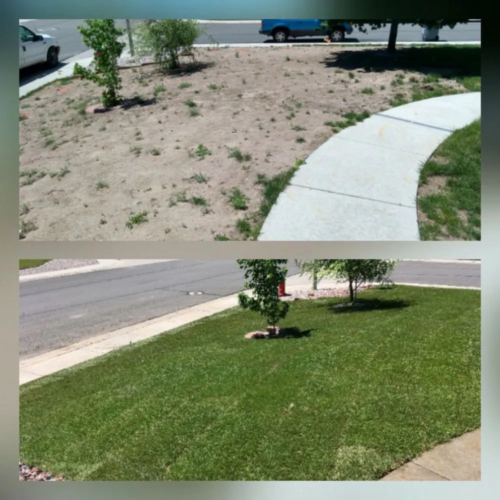 Top-rated landscape installation experts serving Cheyenne, WY - Wallace Sprinkler