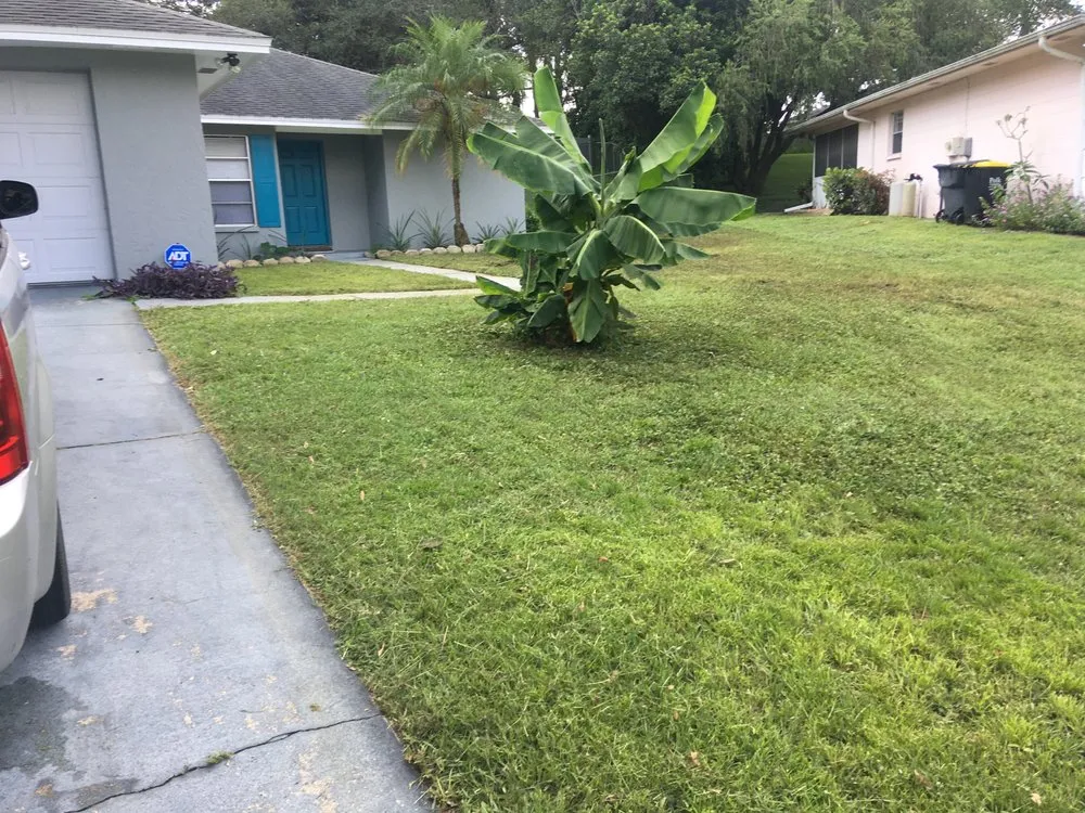 Trusted lawn care service for beautiful yards across Winter Haven, FL - Wallace The Lawn Guy