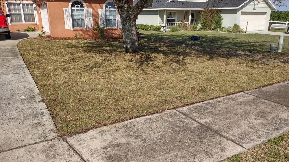 Professional garden landscaping for beautiful yards across Winter Haven, FL - Wallace The Lawn Guy
