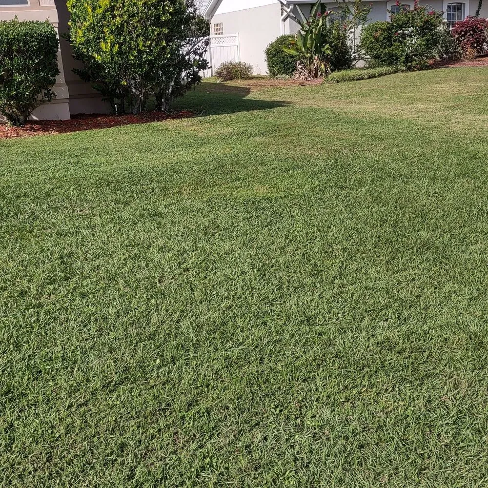 Top-rated outdoor landscaping experts serving Winter Haven, FL - Wallace The Lawn Guy