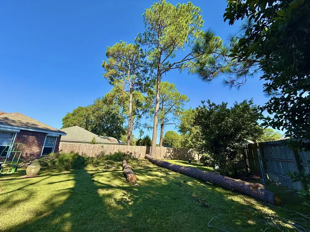 Trusted residential landscaping for homes across Slidell, LA - Wallace Tree & Property Services