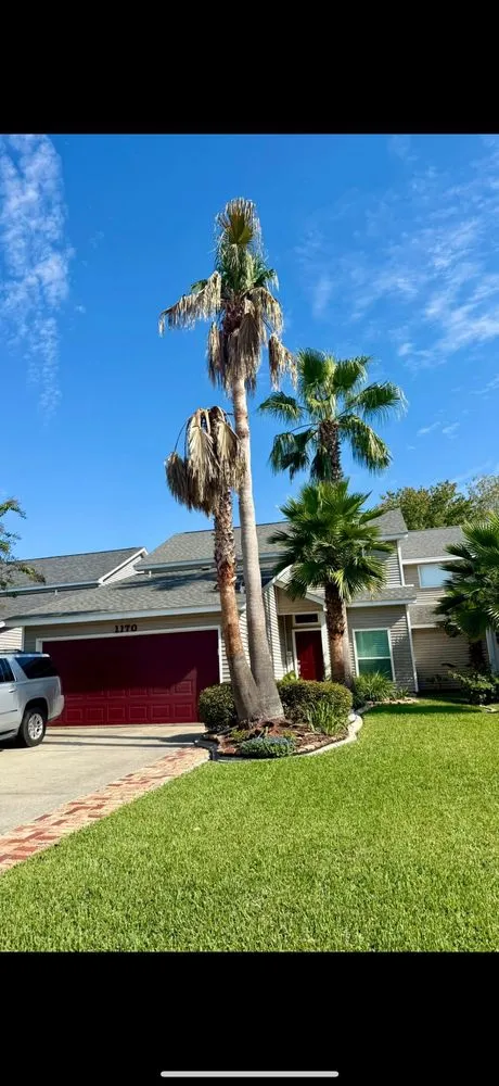 Top-rated yard cleanup service in Slidell, LA - Wallace Tree & Property Services