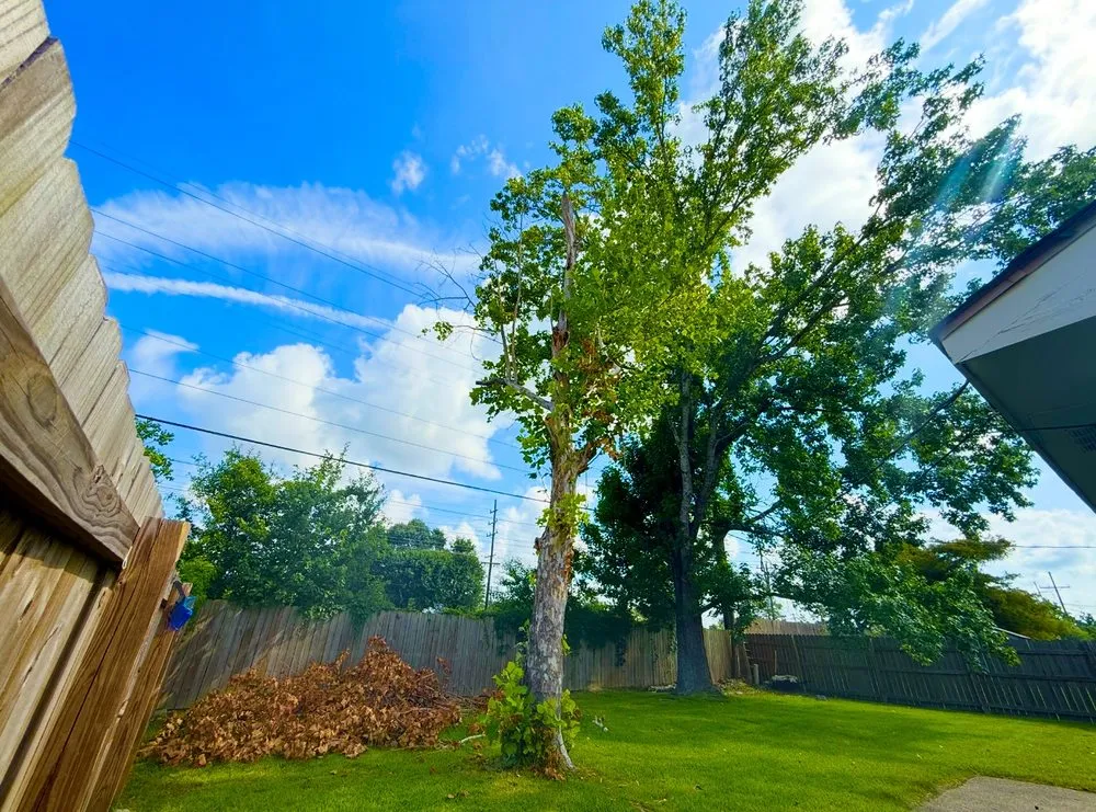 Reliable garden landscaping in Slidell, LA - Wallace Tree & Property Services