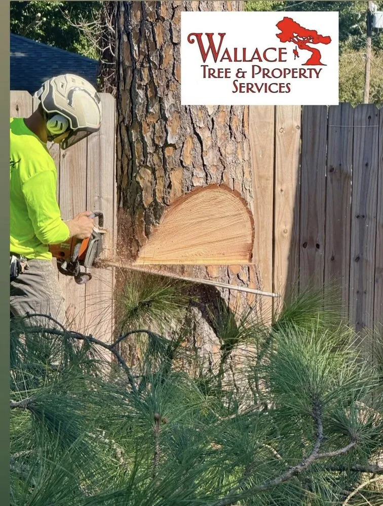 Top-rated yard cleanup service with custom design in Slidell, LA by Wallace Tree & Property Services