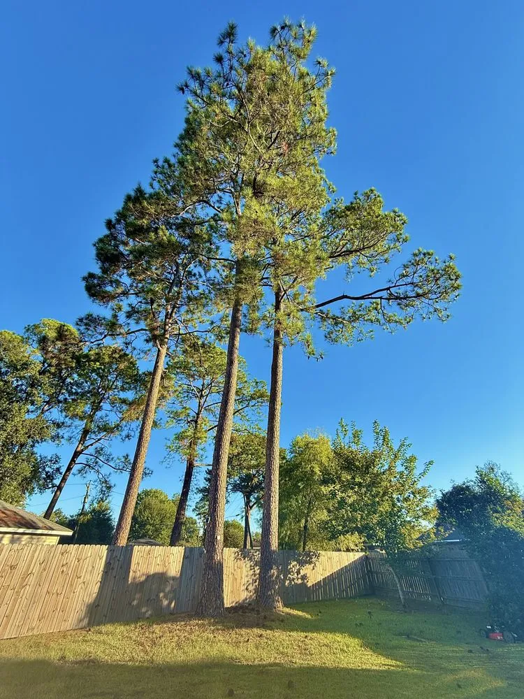 Affordable landscape installation in Slidell, LA by Wallace Tree & Property Services