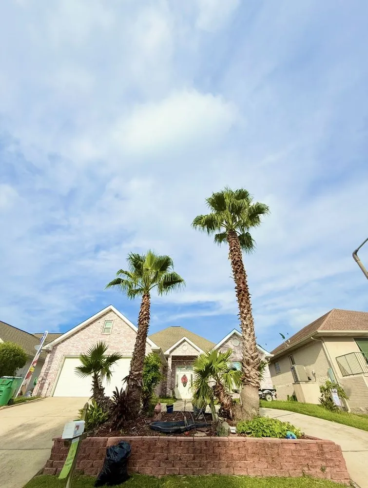 Top-rated yard maintenance for outdoor upgrades in Slidell, LA by Wallace Tree & Property Services