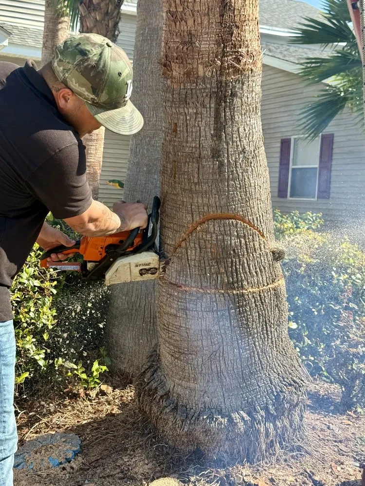 Professional yard cleanup service near you across Slidell, LA - Wallace Tree & Property Services