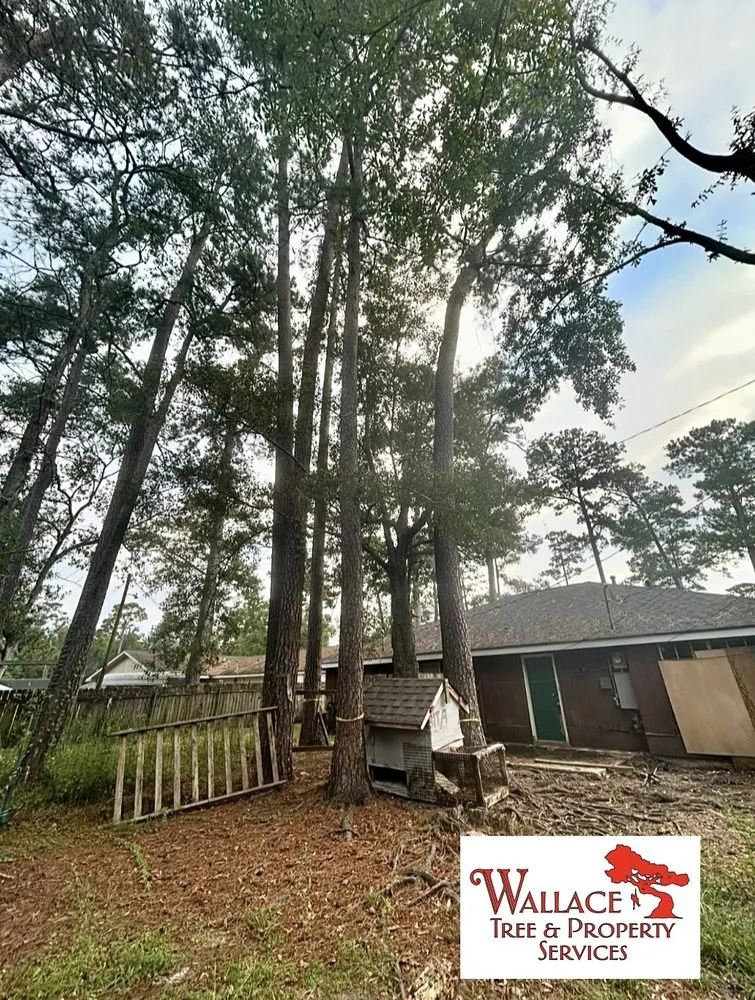 Expert residential landscaping for residential properties in Slidell, LA by Wallace Tree & Property Services