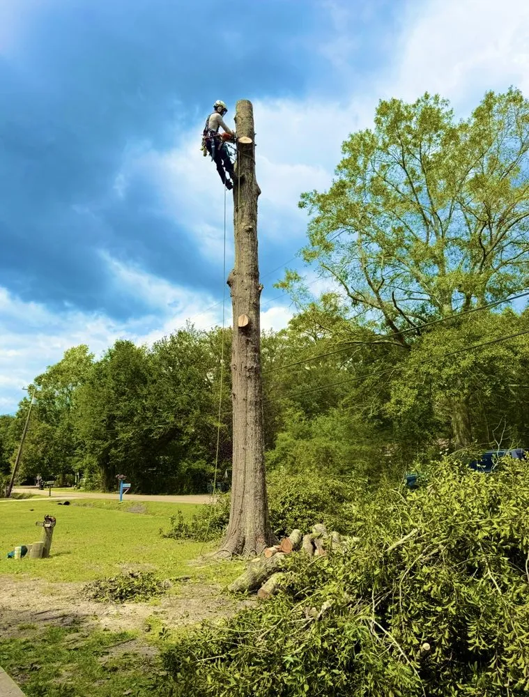 Local yard maintenance in Slidell, LA - Wallace Tree & Property Services