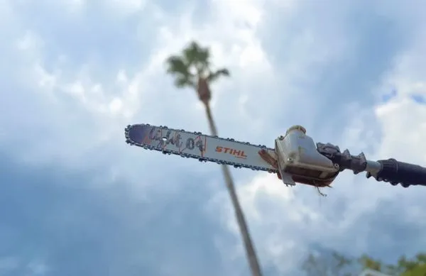 Wallace Tree & Property Services Logo