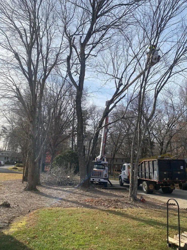 Local lawn mowing service with custom design across High Point, NC - Wallburg Tree Service