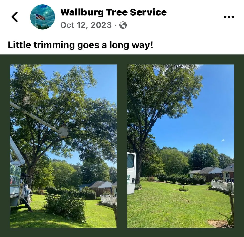 Top-rated lawn care service for year-round maintenance across High Point, NC - Wallburg Tree Service