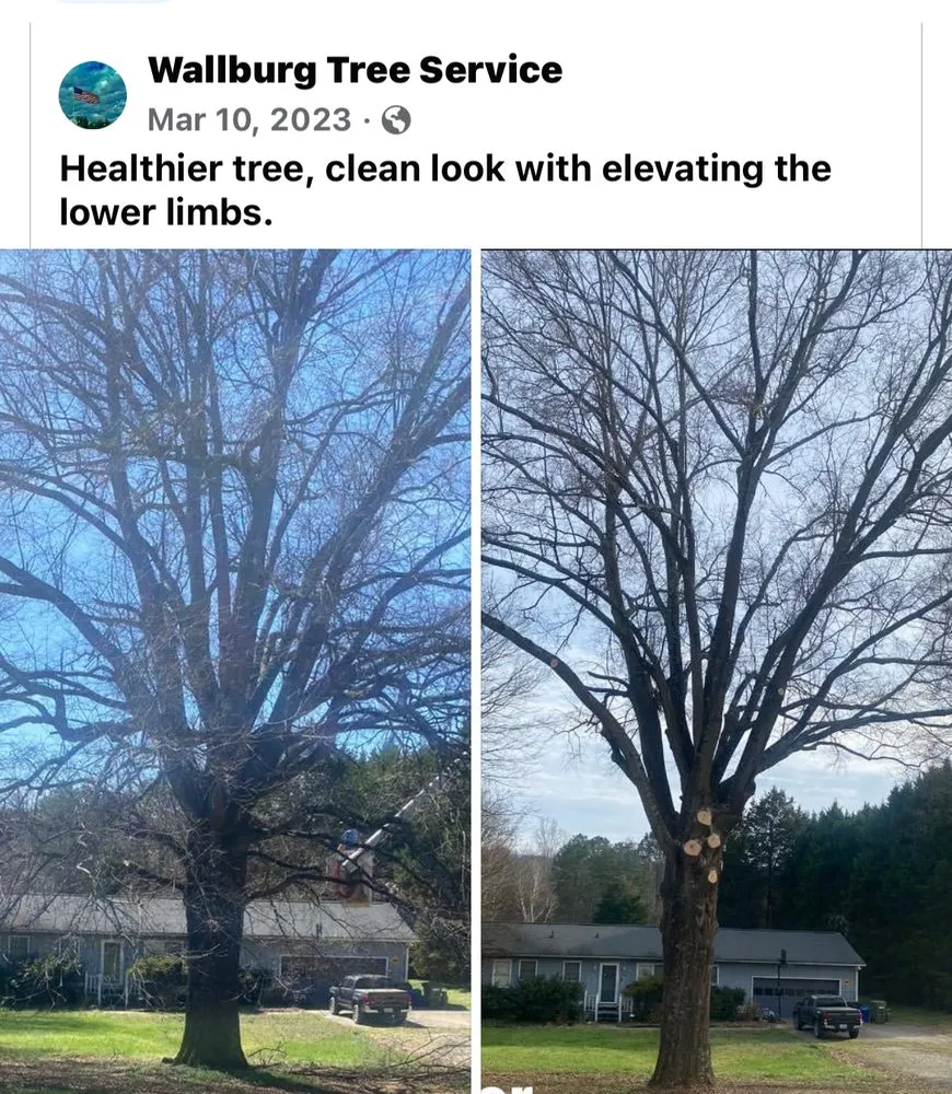 Local outdoor landscaping for beautiful yards across High Point, NC - Wallburg Tree Service