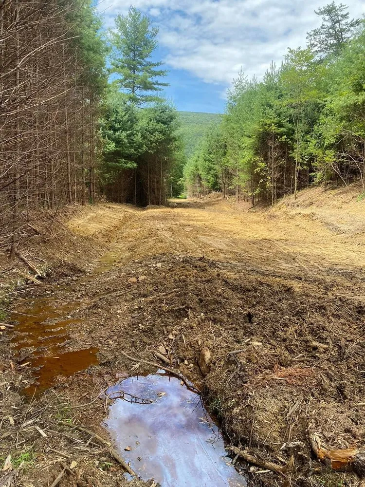 Professional garden landscaping for year-round maintenance in High Point, NC by Wallburg Tree Service