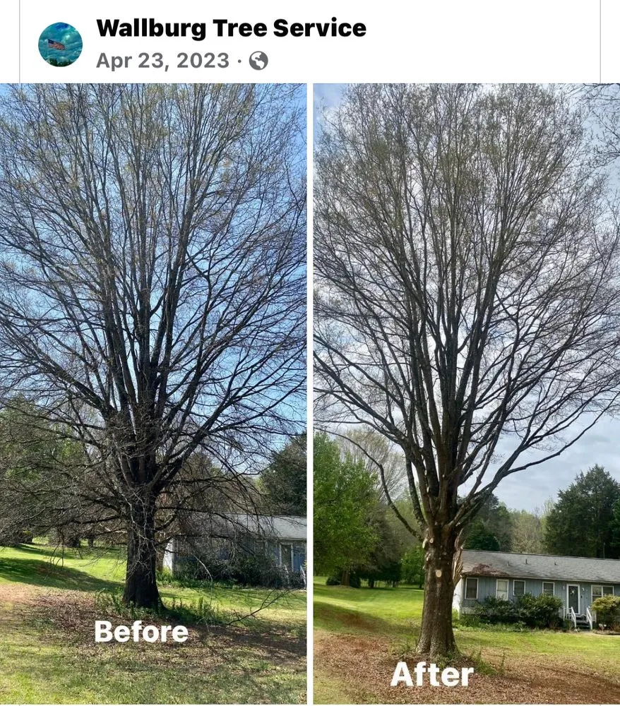 Local lawn care service for residential properties in High Point, NC by Wallburg Tree Service