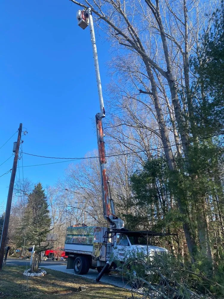 Affordable outdoor landscaping in High Point, NC by Wallburg Tree Service