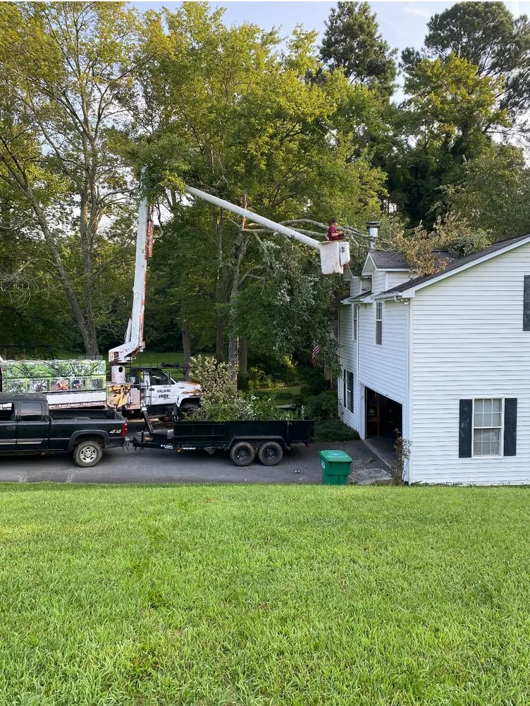 Top-rated lawn mowing service in High Point, NC by Wallburg Tree Service