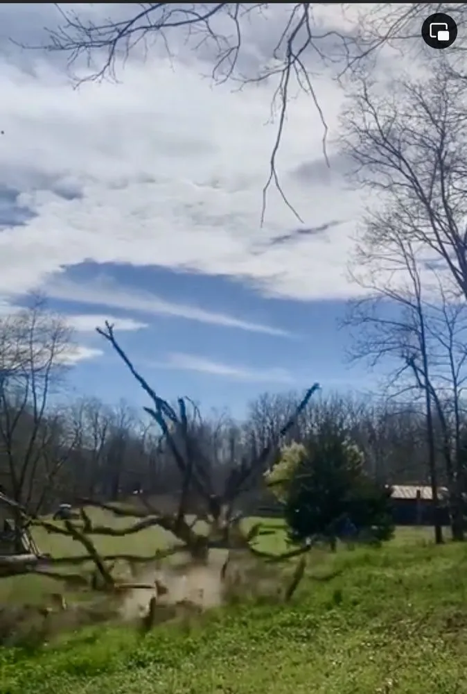 Local lawn mowing service in High Point, NC by Wallburg Tree Service