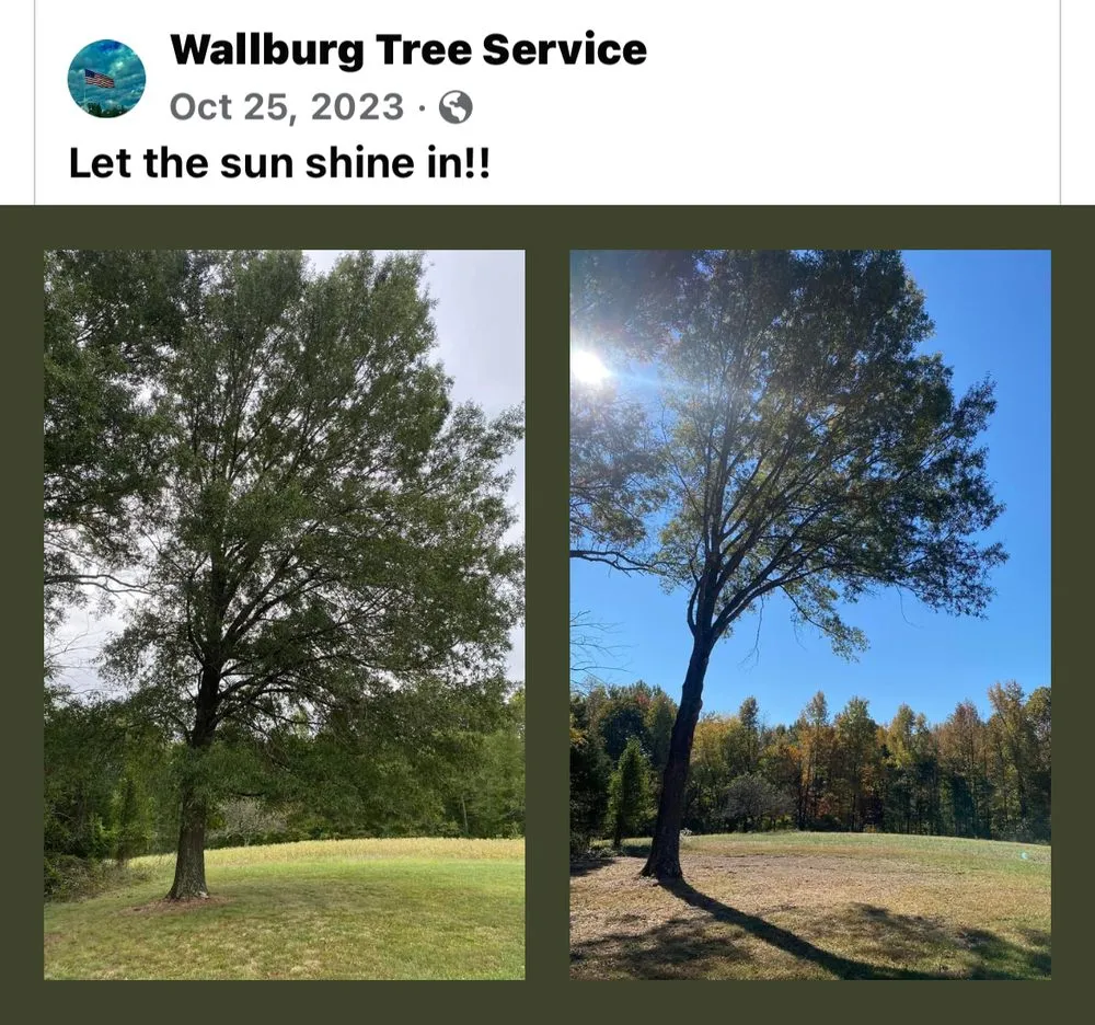 Professional landscape design for year-round maintenance across High Point, NC - Wallburg Tree Service