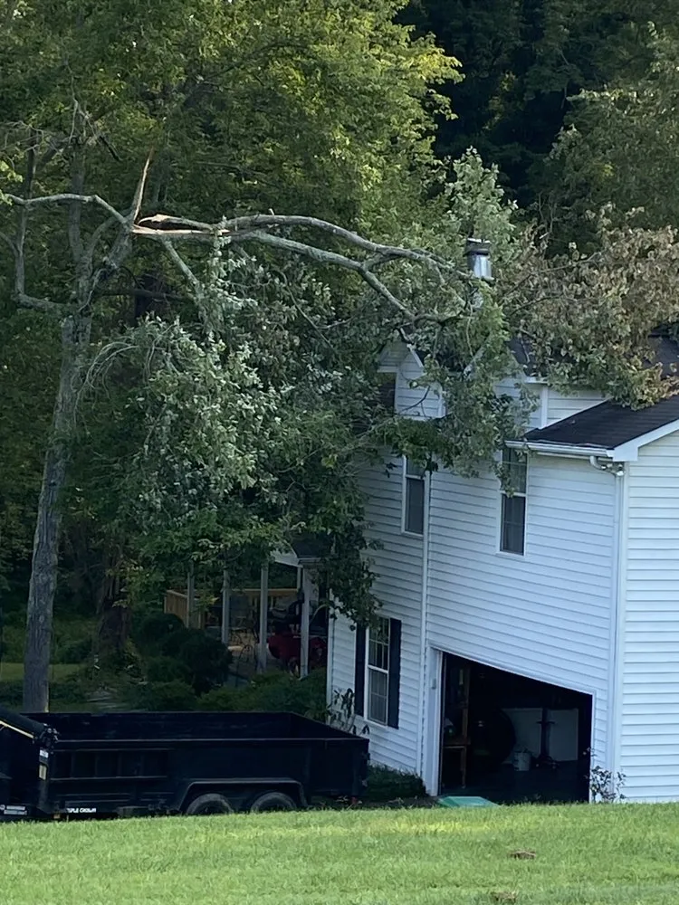 Local lawn care service in High Point, NC - Wallburg Tree Service