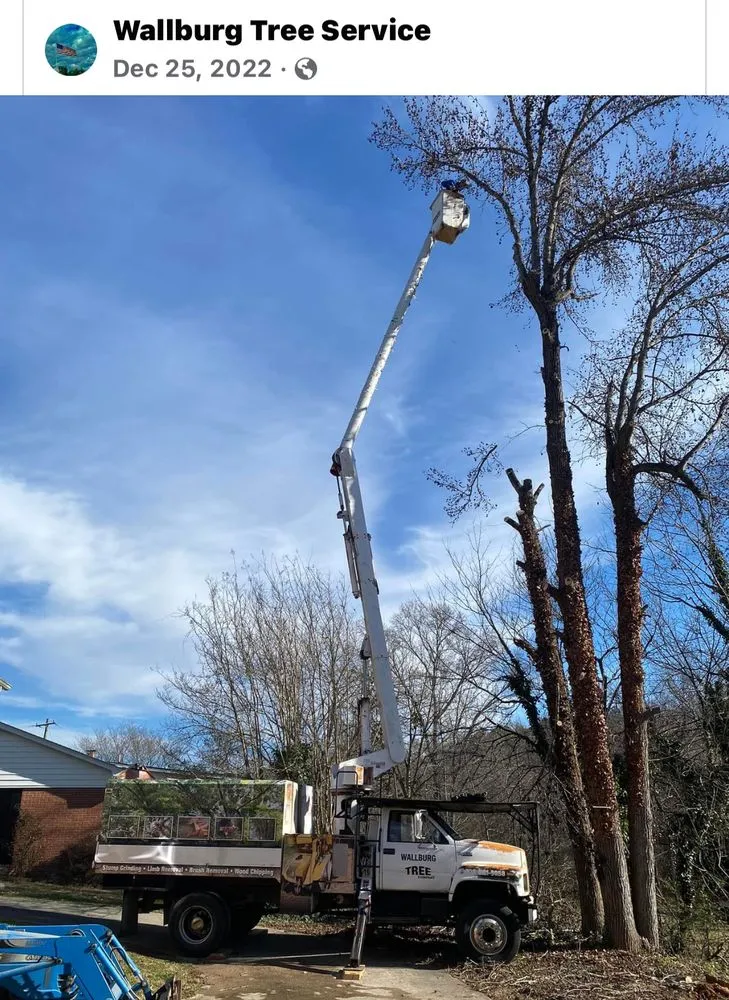 Affordable landscape installation in High Point, NC by Wallburg Tree Service