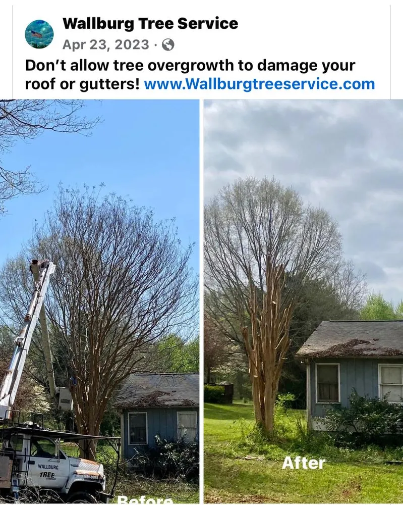 Custom landscaping services in High Point, NC by Wallburg Tree Service