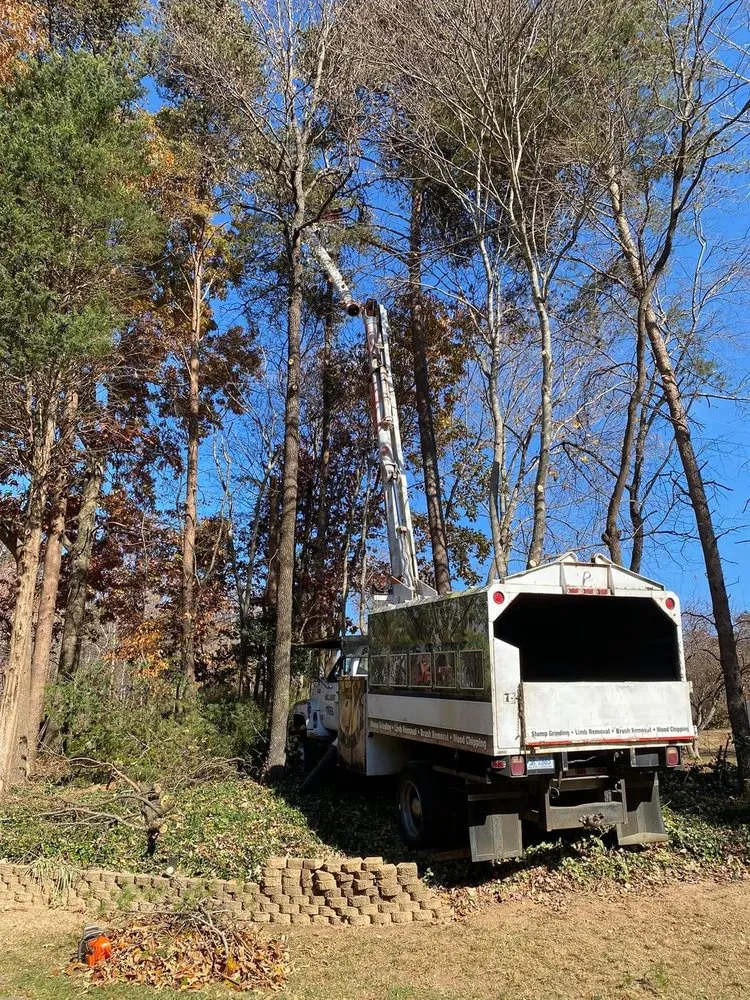 Local landscape design near you in High Point, NC by Wallburg Tree Service
