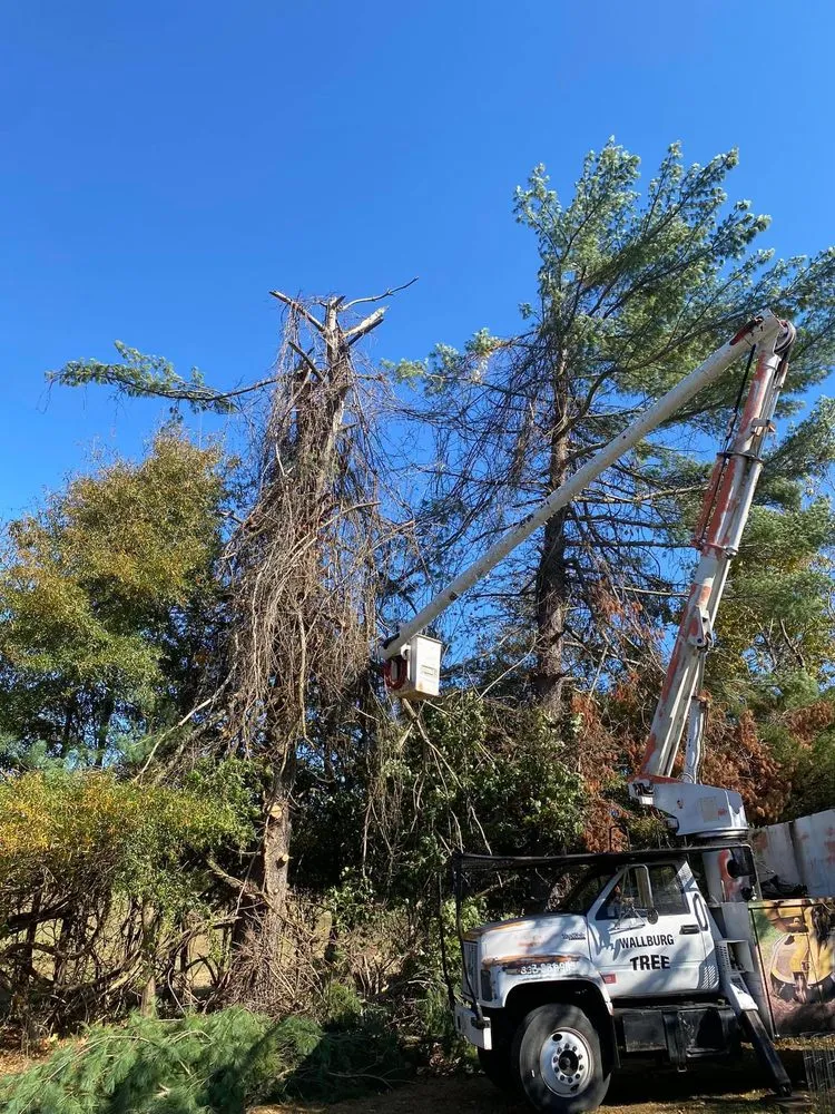 Expert lawn mowing service in High Point, NC - Wallburg Tree Service