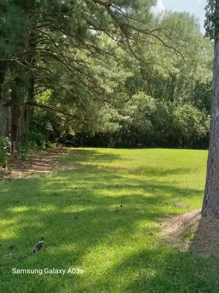 Trusted landscape installation experts serving Laceys Spring, AL - Walleys lawn care