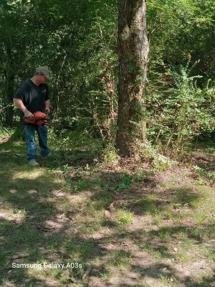 Affordable garden landscaping experts serving Laceys Spring, AL - Walleys lawn care