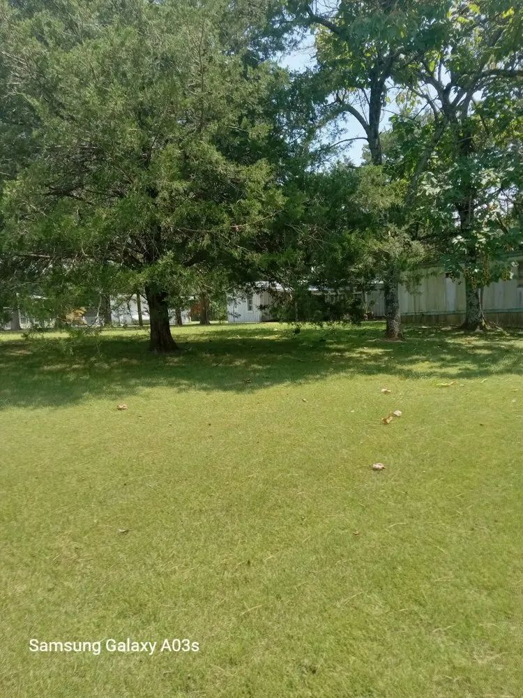 Top-rated lawn mowing service in Laceys Spring, AL by Walleys lawn care