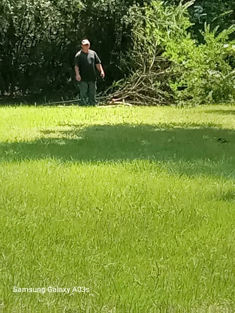 Expert landscaping services experts serving Laceys Spring, AL - Walleys lawn care