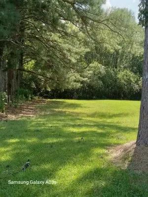 Walleys lawn care