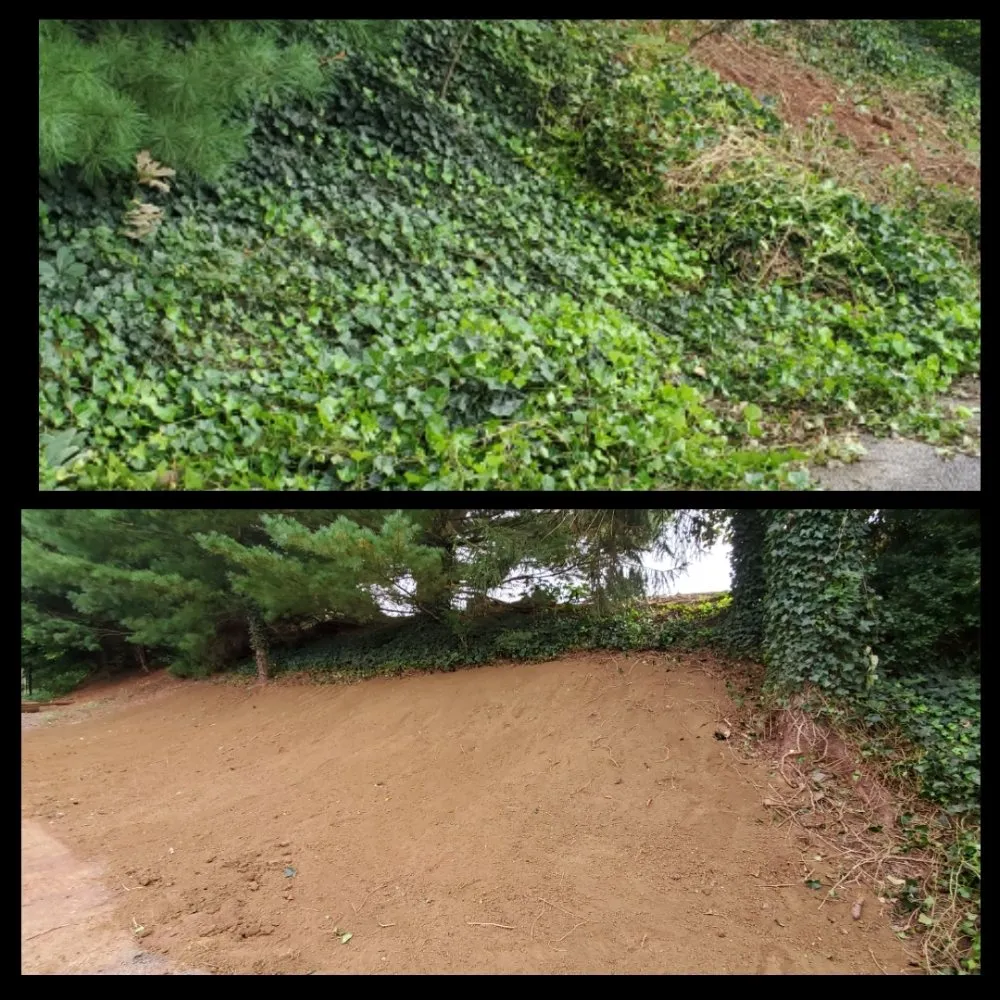 Top-rated landscape design in Yorkana, PA by Wallick's Landscape & Excavating