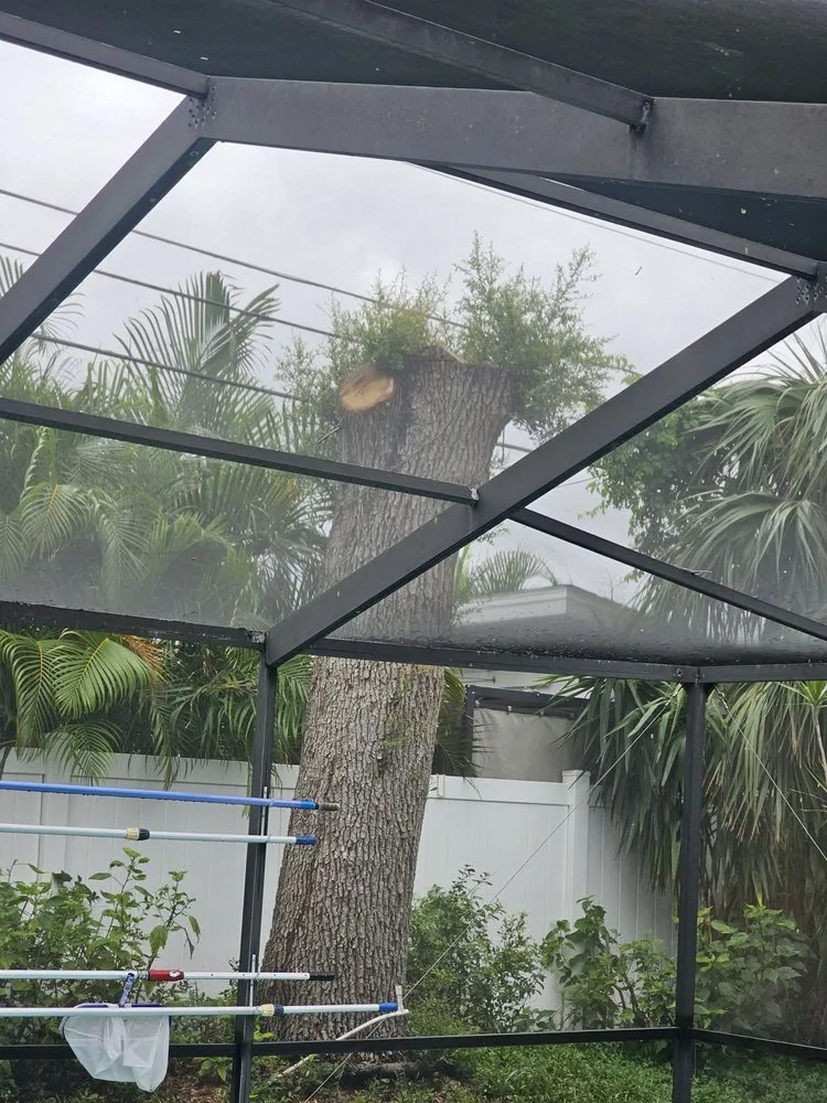 Top-rated landscape design in Arcadia, FL by Walling Tree Service