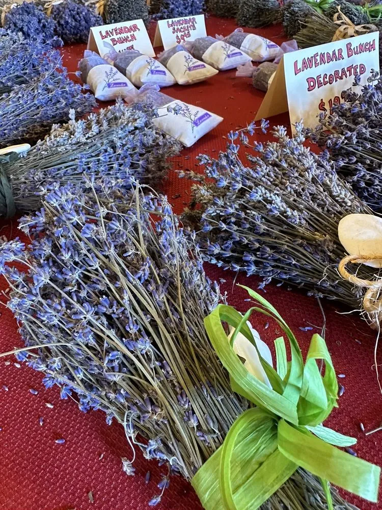 Custom residential landscaping for outdoor upgrades in Kennebunk, ME by Wallingford Farm