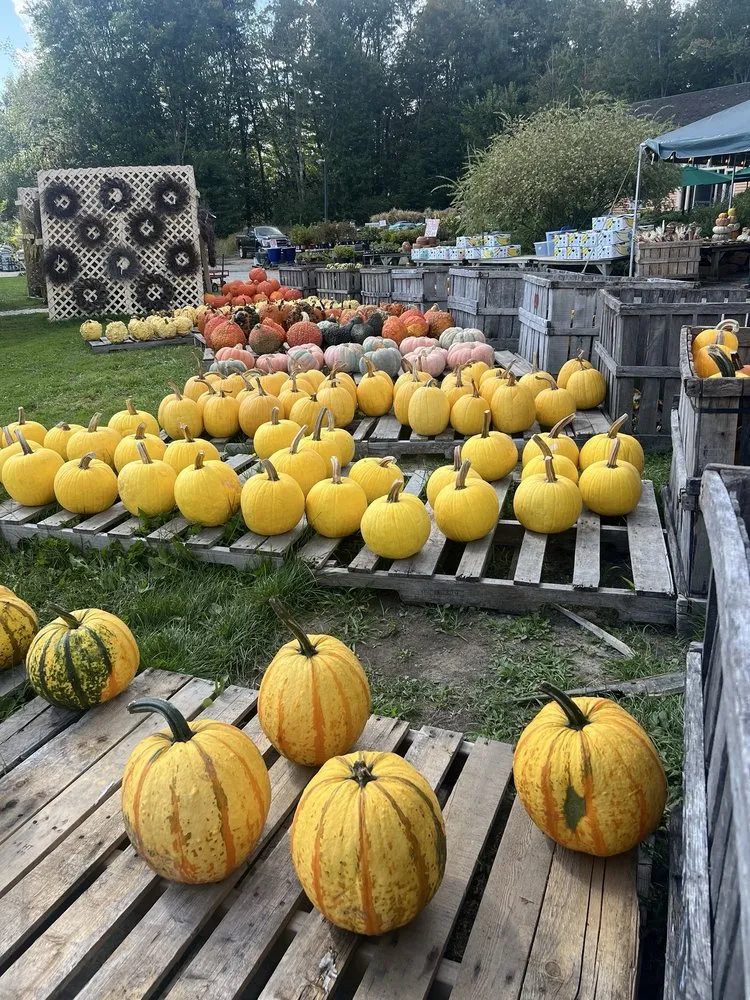 Trusted residential landscaping with custom design across Kennebunk, ME - Wallingford Farm