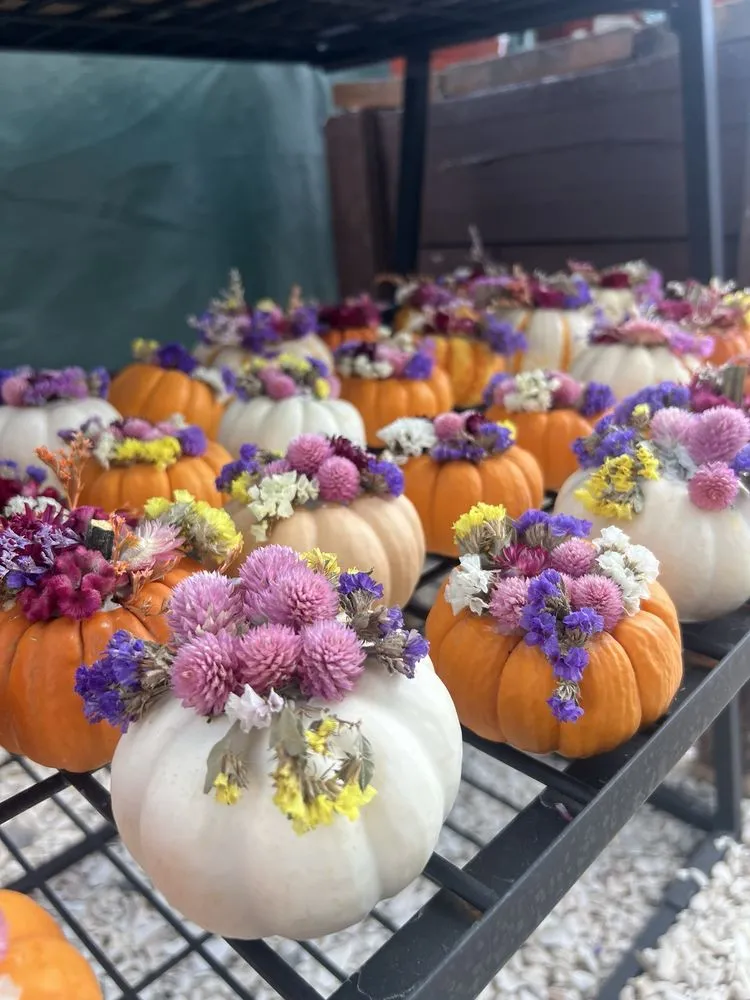 Affordable landscaping services for year-round maintenance in Kennebunk, ME by Wallingford Farm