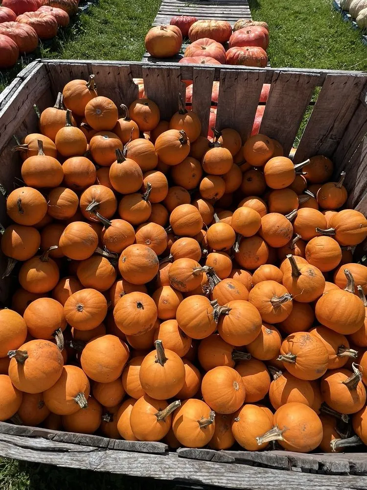 Local lawn care service near you in Kennebunk, ME by Wallingford Farm