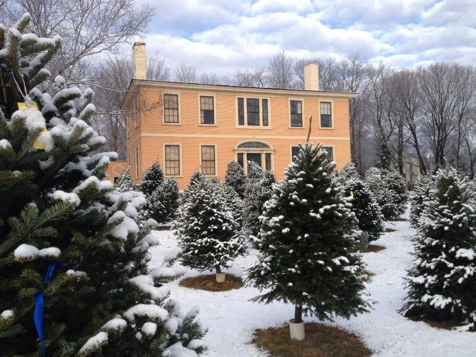 Top-rated garden landscaping in Kennebunk, ME - Wallingford Farm