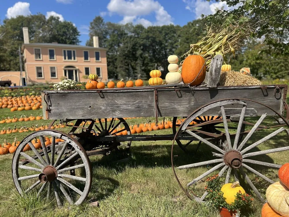 Expert landscaping services in Kennebunk, ME - Wallingford Farm