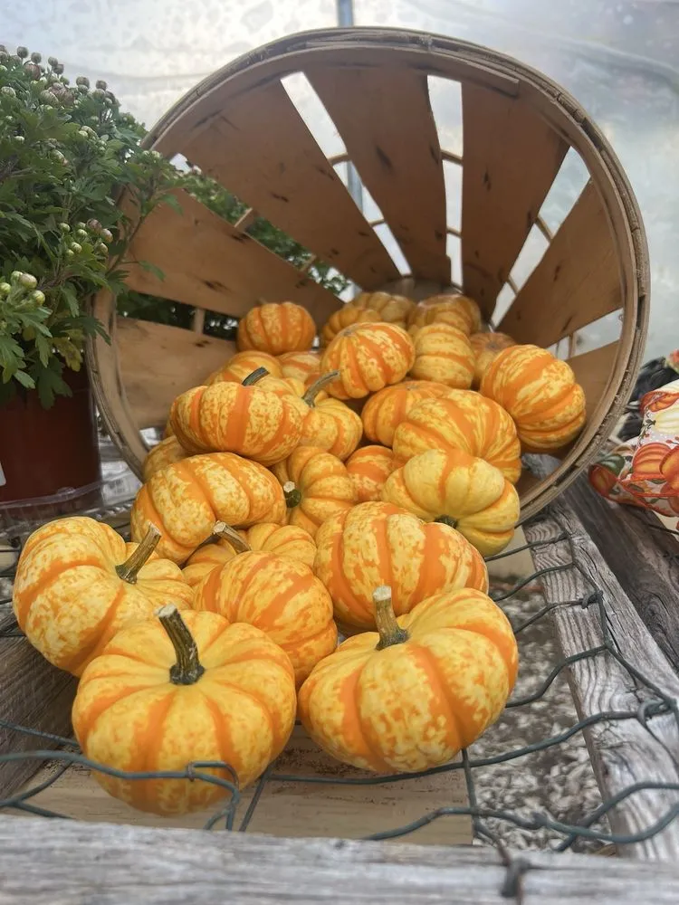 Top-rated garden landscaping for residential properties across Kennebunk, ME - Wallingford Farm