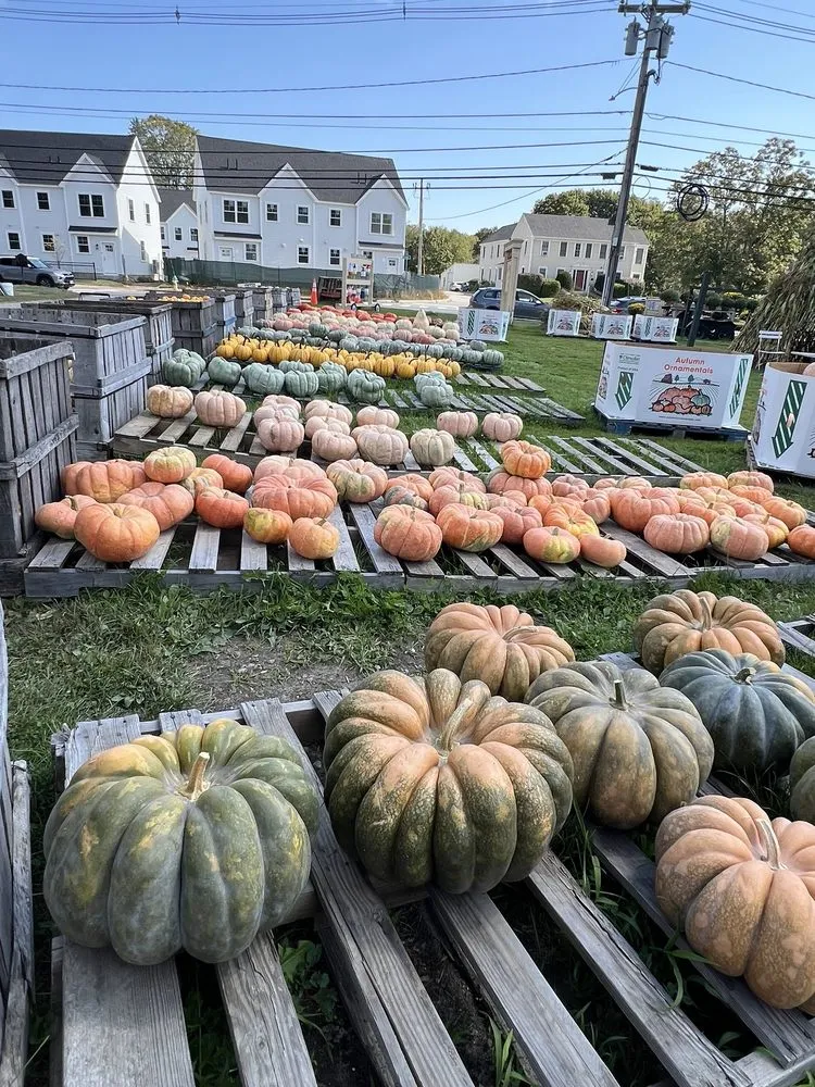 Expert landscaping services for homes across Kennebunk, ME - Wallingford Farm