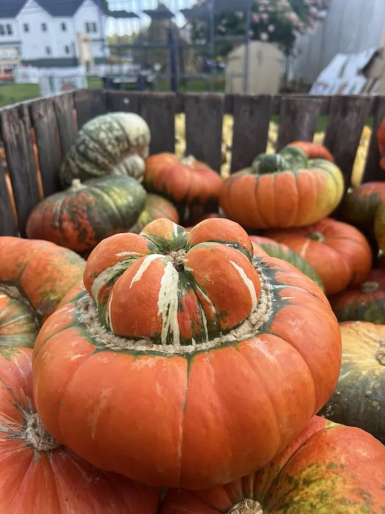 Trusted yard cleanup service in Kennebunk, ME by Wallingford Farm