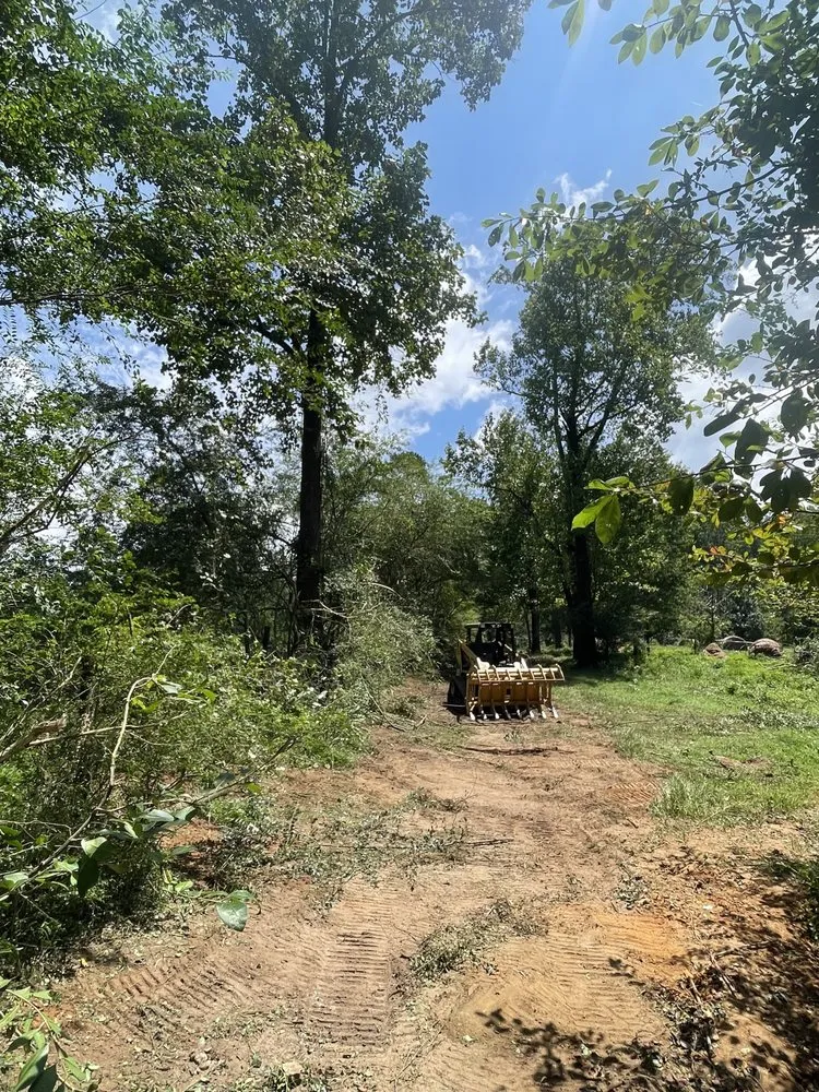 Expert landscaping services in Cumming, GA - Wallis Land Services